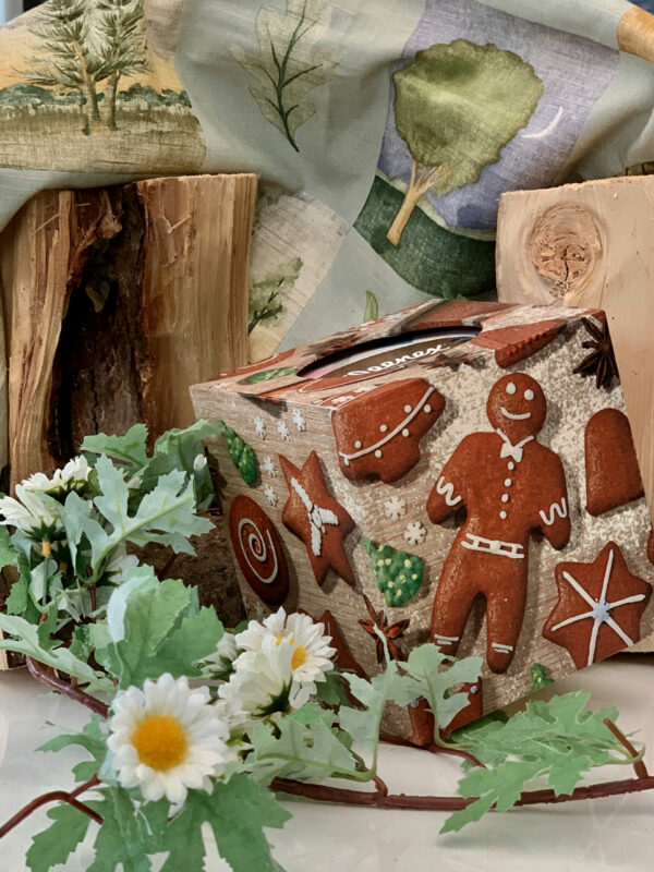 Seasonal Gingerbread man Tissue Box Holder